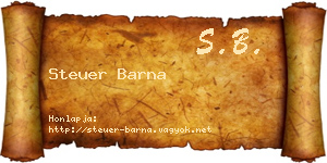 Steuer Barna névjegykártya